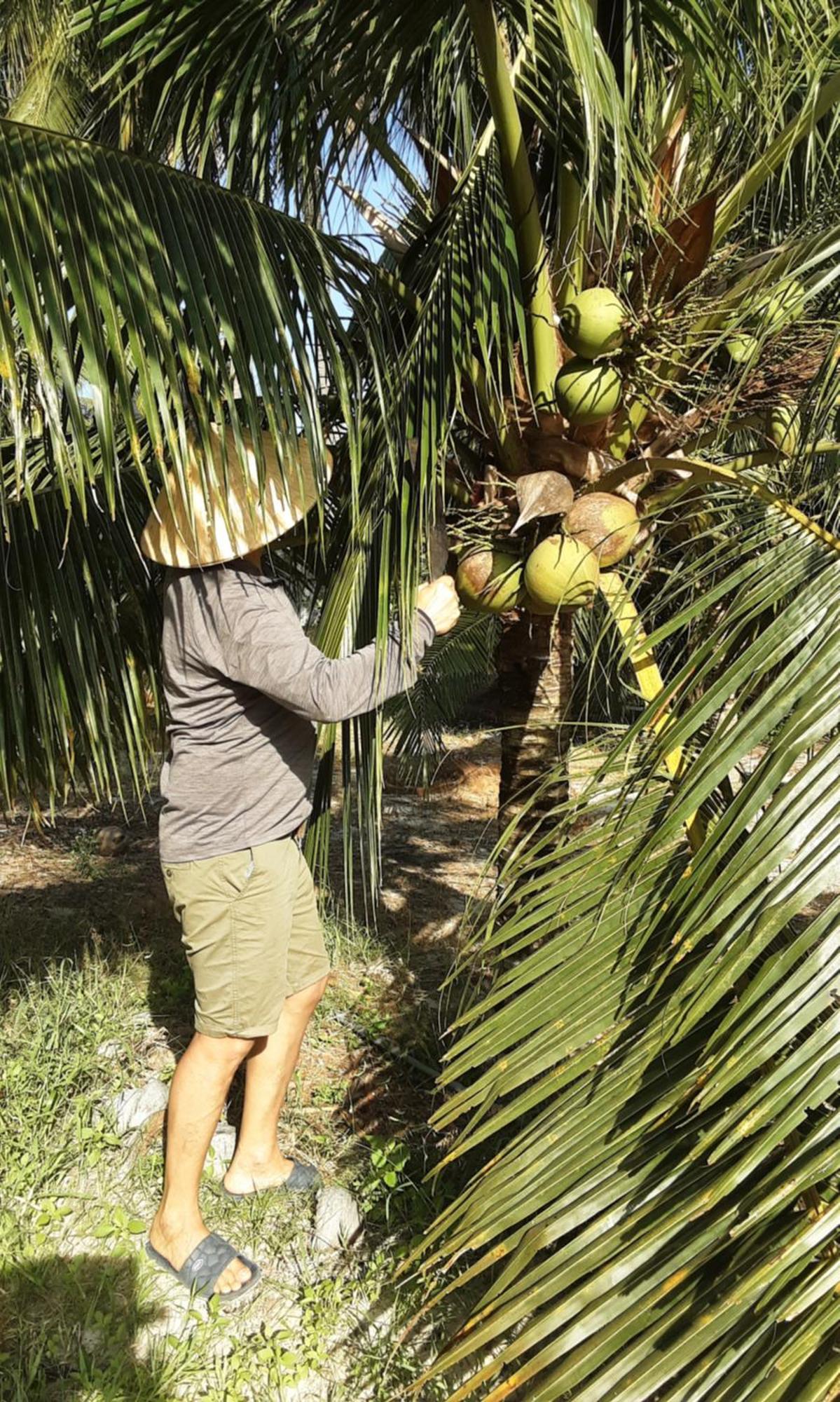 Bonnie Homestay Mui Ne Фантхьєт Екстер'єр фото